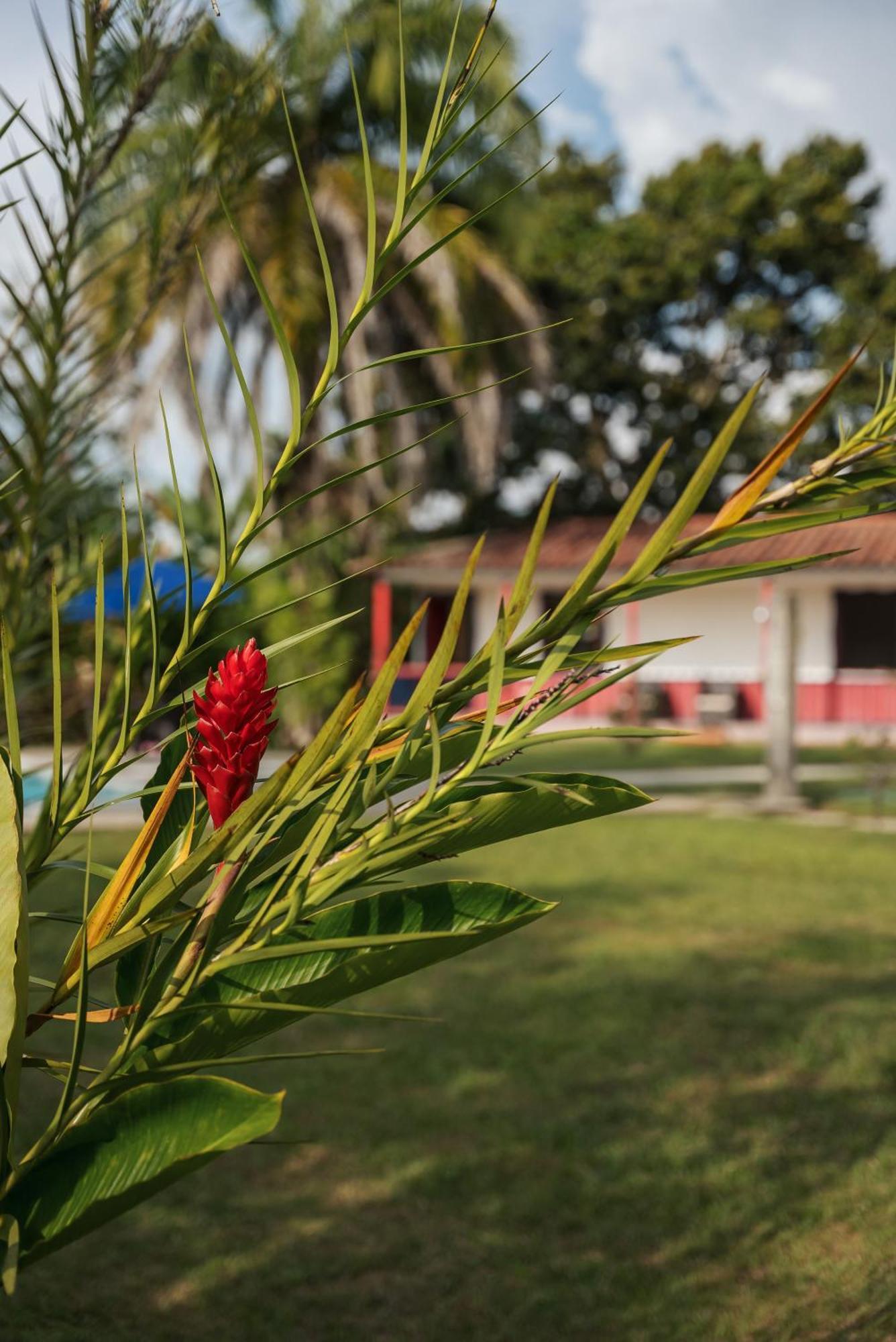 Finca Hotel Puerto Espejo Екстер'єр фото